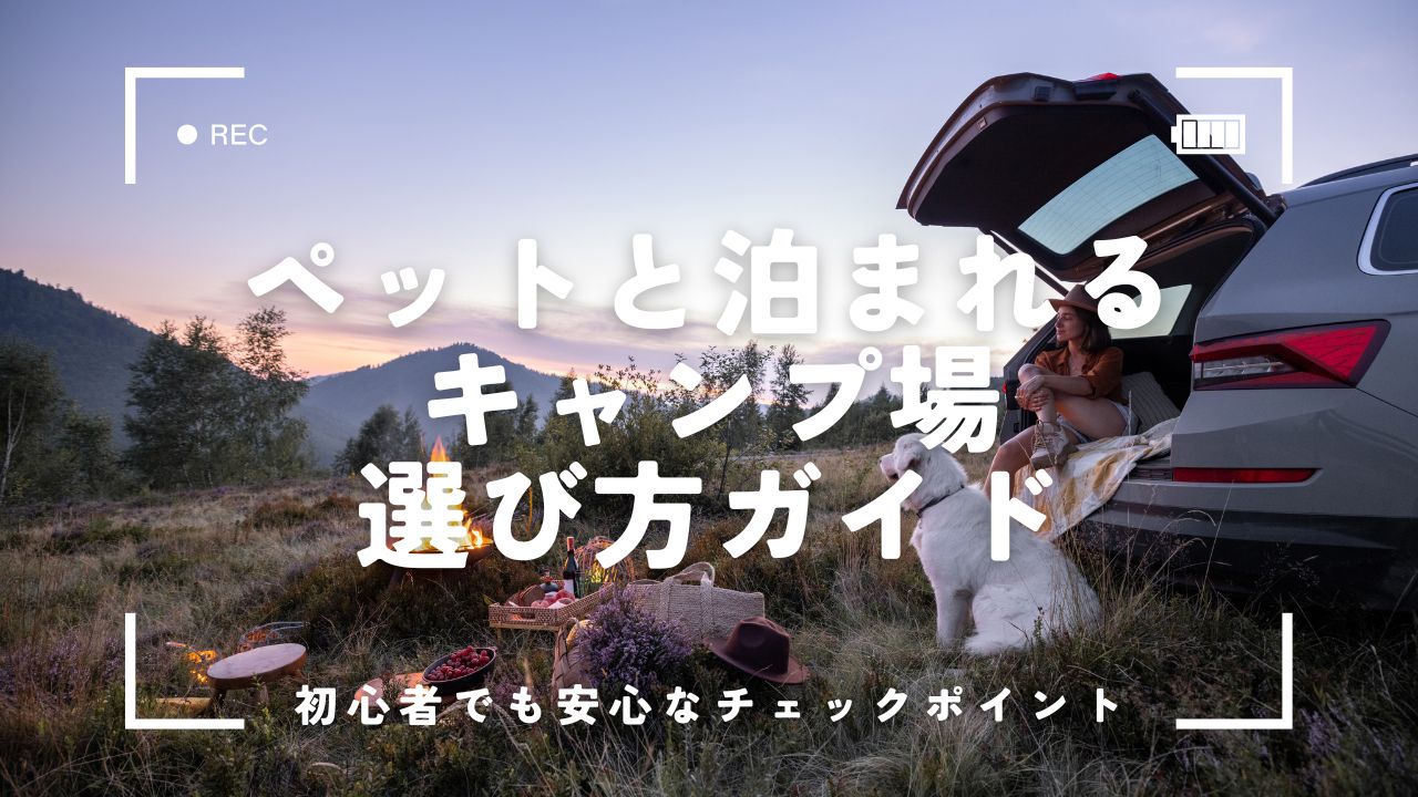 ペットと泊まれるキャンプ場の選び方ガイド｜初心者でも安心なチェックポイント＆おすすめの探し方