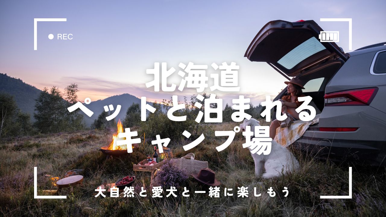 北海道でペットと泊まれるキャンプ場10選｜愛犬とのびのび楽しめる癒しのキャンプ旅