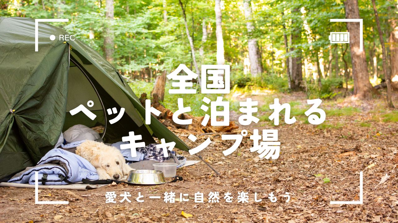 全国のペットと泊まれるキャンプ場まとめ｜都道府県・地域別で探せるリンク集