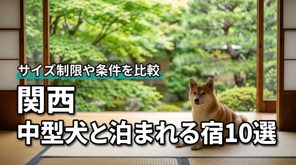 関西で中型犬と泊まれる宿おすすめ10選！サイズ制限や宿泊条件をまとめて比較