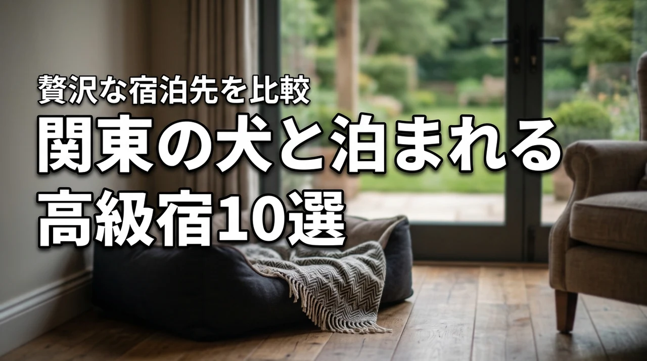 関東で犬と泊まれる高級宿10選！愛犬との贅沢な旅を叶えるおすすめの宿泊先を比較