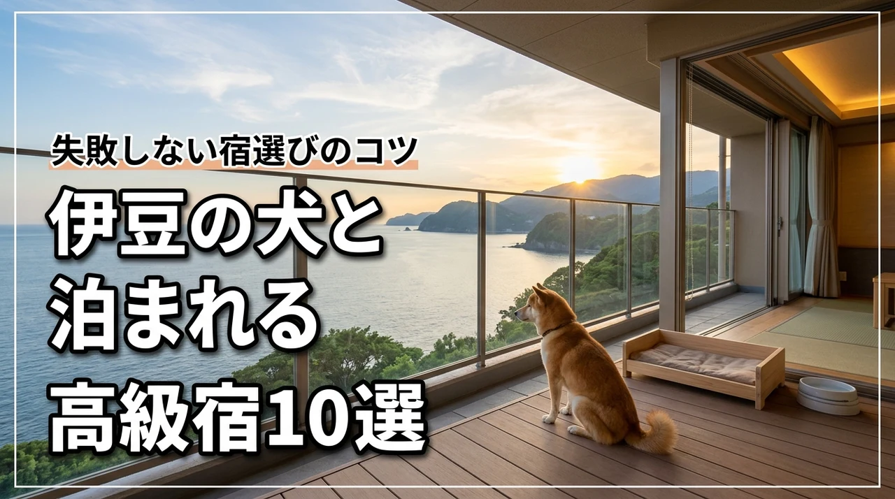 伊豆の犬と泊まれる宿で高級な10選を厳選!愛犬と贅沢な時間を過ごす選び方
