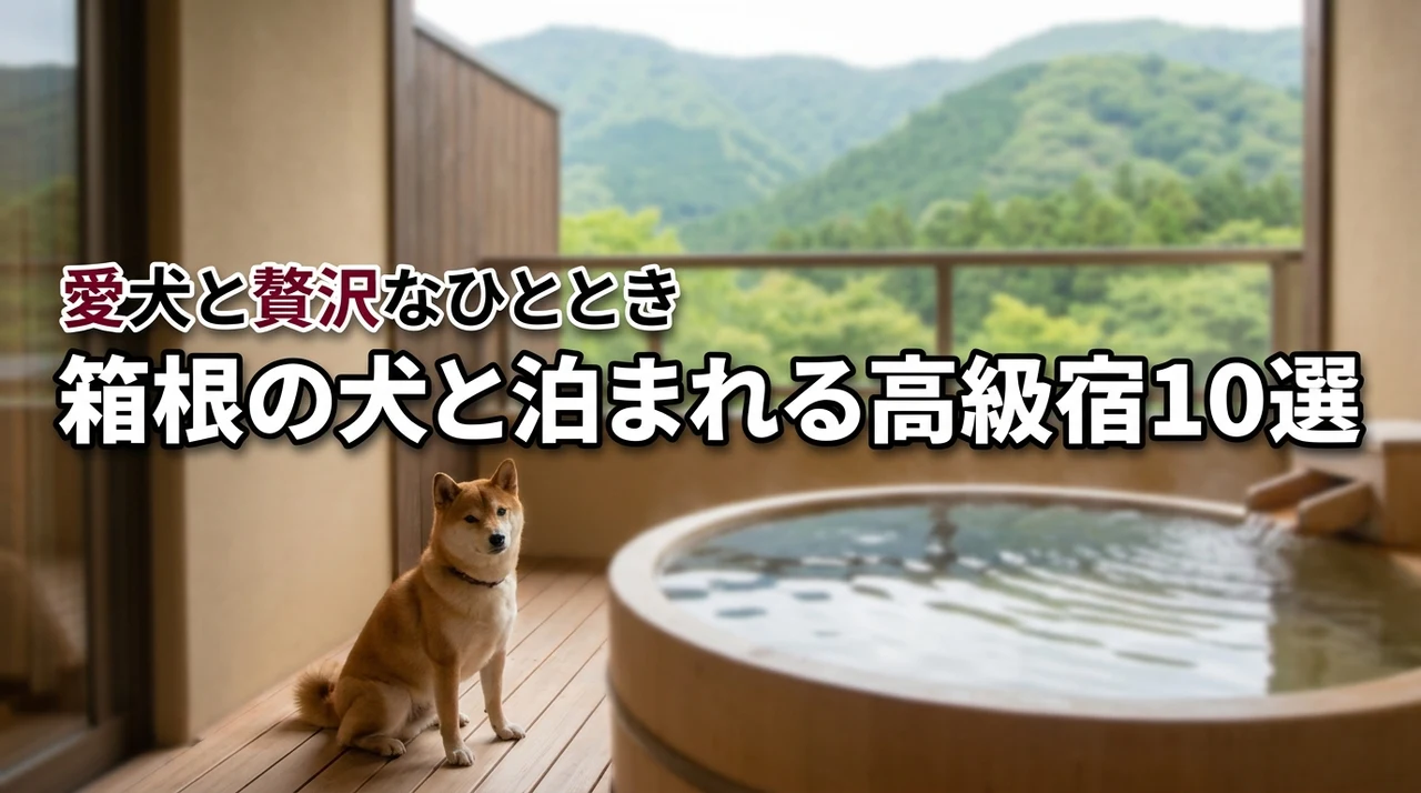 箱根で犬と泊まれる高級宿で迷ったらここ!愛犬と贅沢に過ごす厳選10宿を紹介