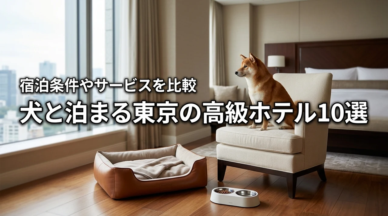 犬と泊まれる高級ホテル（東京）のおすすめ10選！宿泊条件やサービスを比較