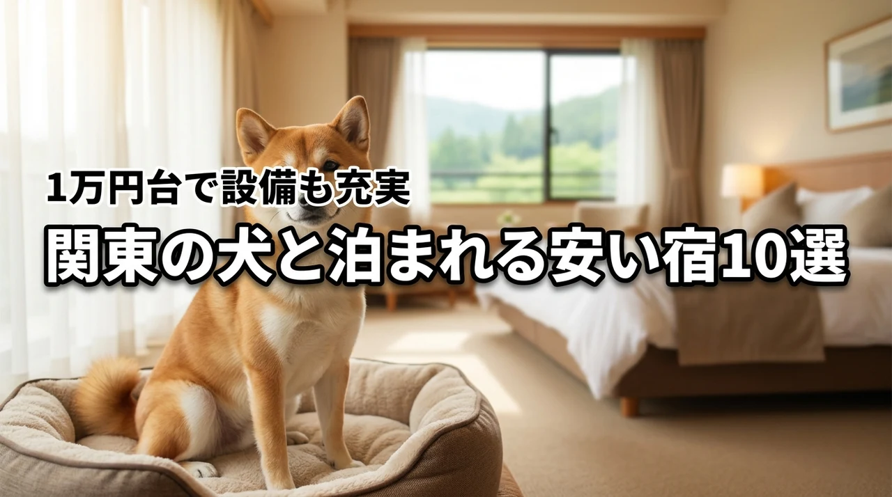 犬と泊まれる宿で関東の安い10選!1万円台でも設備が充実した人気施設を紹介