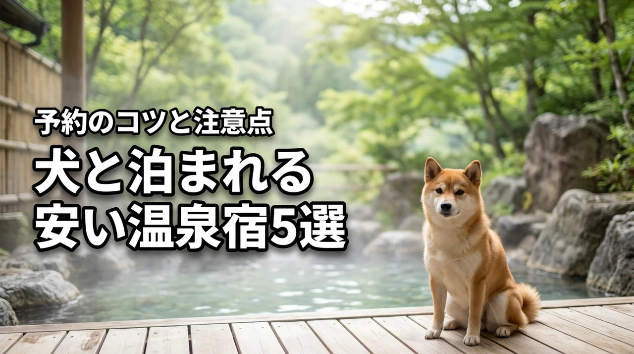 犬と泊まれる温泉宿で安いおすすめ5選!予約のコツやメリット・デメリットも解説